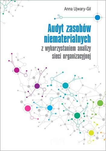Audyt zasobów niematerialnych z wykorzystaniem...