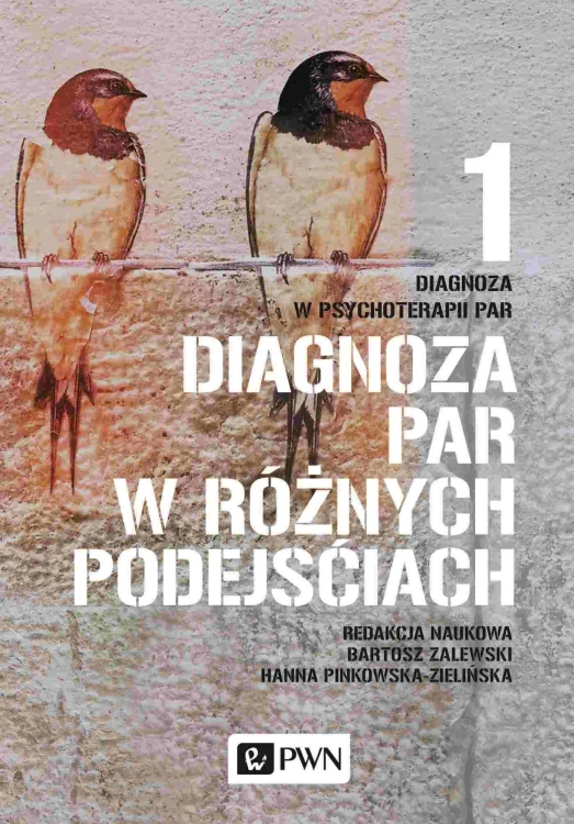 Diagnoza par w różnych podejściach. Diagnoza w...