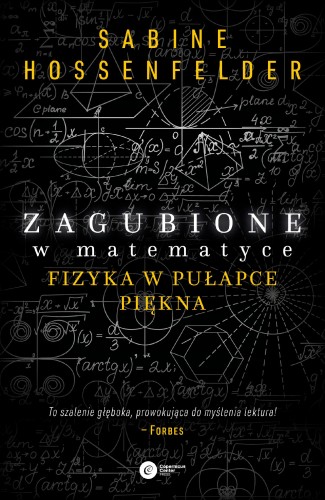 Zagubione w matematyce. Fizyka w pułapce...
