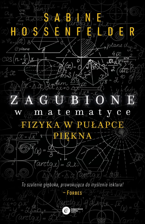 Zagubione w matematyce. Fizyka w pułapce...