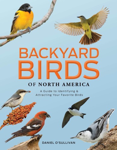 Backyard Birds of North America, Daniel O'Sullivan