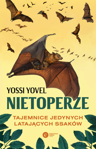 Nietoperze. Tajemnice jedynych latających ssaków