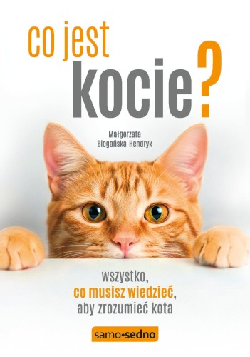 Co jest kocie? Wszystko, co musisz wiedzieć,...