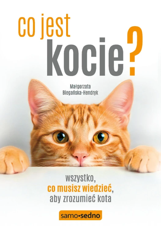 Co jest kocie? Wszystko, co musisz wiedzieć,...