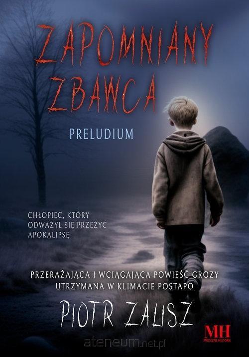 Zapomniany Zbawca. Preludium, Piotr Zalisz