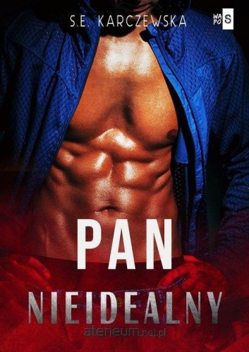 Pan nieidealny, S.E. Karczewska