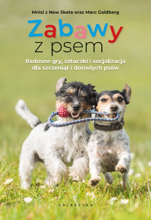 Zabawy z psem. Radosne gry, sztuczki i...