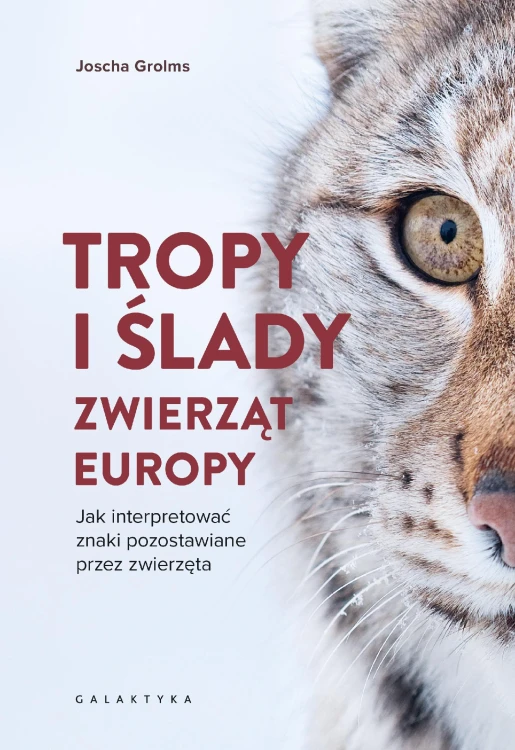 Tropy i ślady zwierząt Europy. Jak...