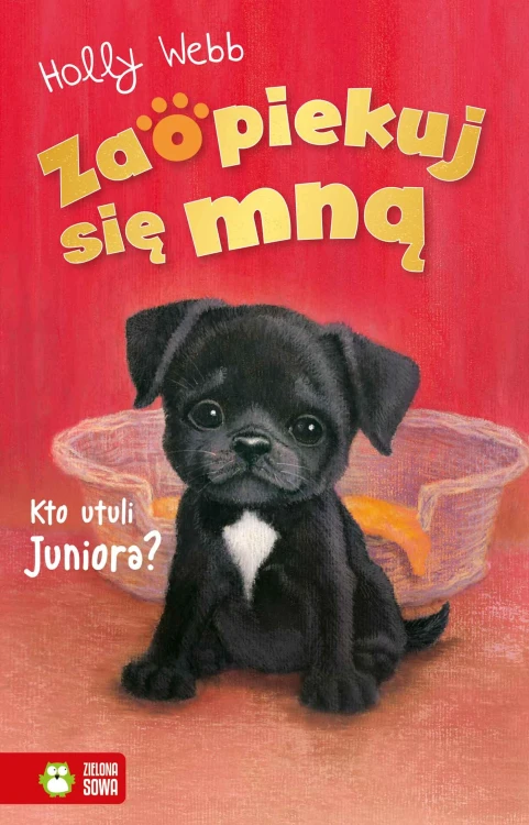 Kto utuli Juniora? Zaopiekuj się mną, Holly Webb