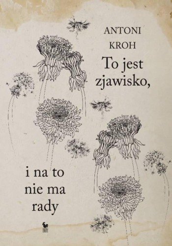 To jest zjawisko. I na to nie ma rady, Antoni Kroh