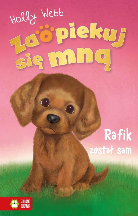 Rafik został sam. Zaopiekuj się mną, Holly Webb