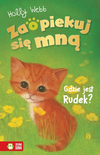 Gdzie jest Rudek?. Zaopiekuj się mną, Holly Webb