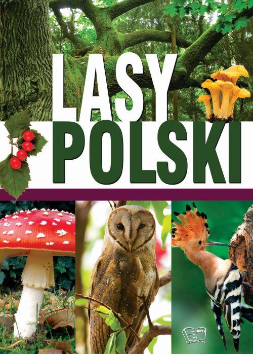 Lasy polskie, Opracowanie Zbiorowe