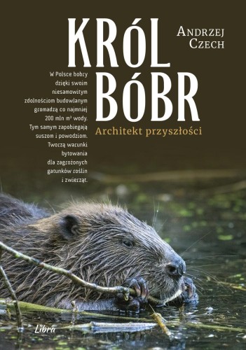 Król bóbr. Architekt przyszłości, Andrzej Czech