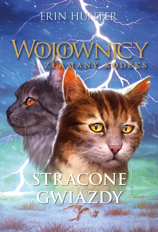 Stracone Gwiazdy. Wojownicy. Złamany kodeks