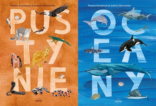 Pustynie i Oceany, Tomasz Kowalczyk