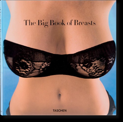 The Big Book of Breasts wer. angielska