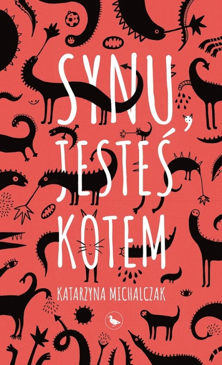 Synu, jesteś kotem, Katarzyna Michalczak