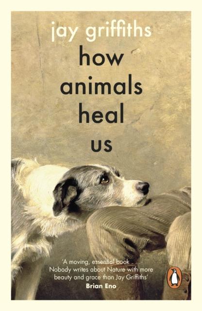 How Animals Heal Us, Jay Griffiths