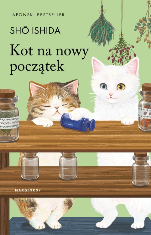 Kot na nowy początek, Shō Ishida