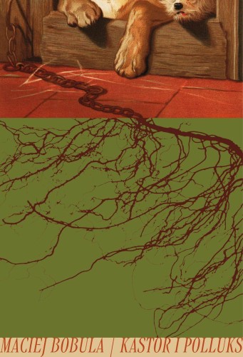 Kastor i Polluks, Maciej Bobula