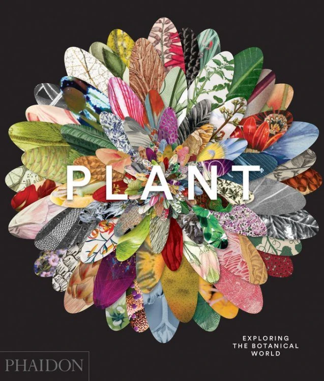 Plant. Exploring the Botanical World wer....