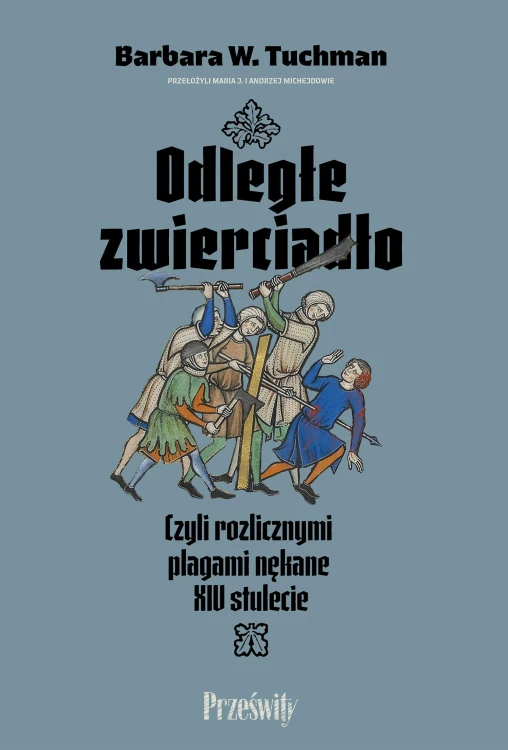 Odległe zwierciadło. Czyli rozlicznymi plagami...