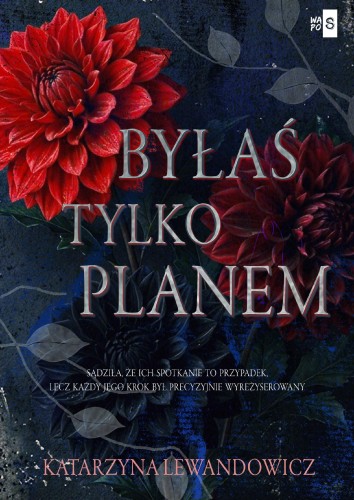 Byłaś tylko planem, Katarzyna Lewandowicz