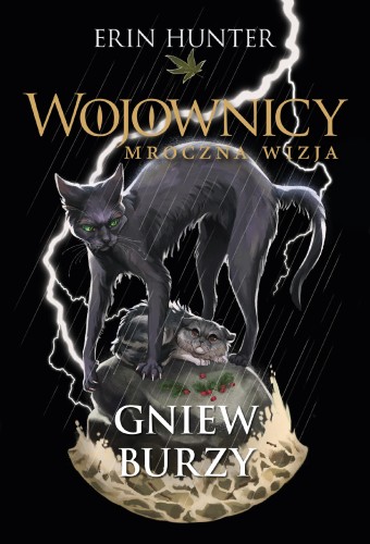 Gniew burzy. Wojownicy. Mroczna wizja, Erin Hunter