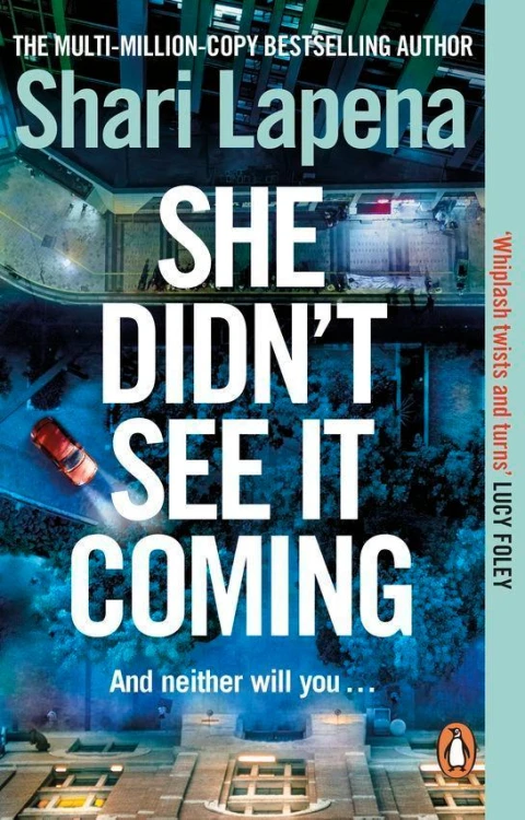 She Didn't See It Coming, Shari Lapena