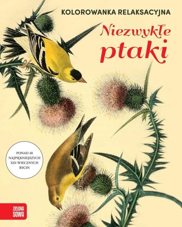 Niezwykłe ptaki. Kolorowanka relaksacyjna