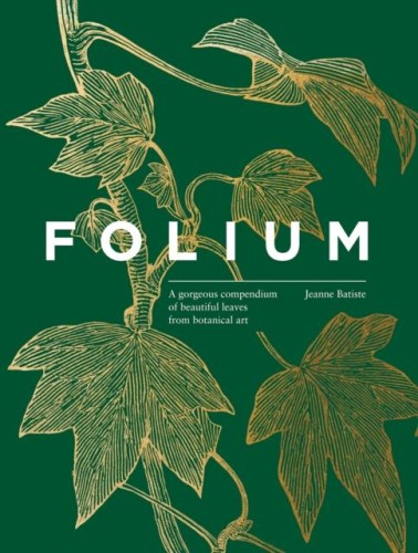 Folium, Jean Batiste