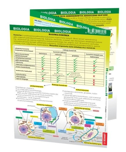 Biologia. MAXI ściąga, Opracowanie zbiorowe