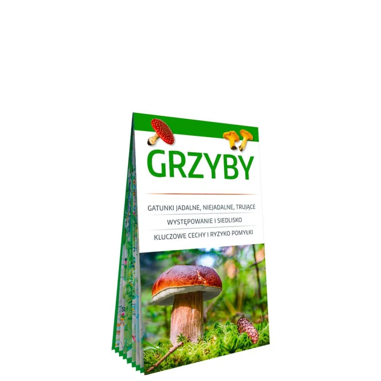 Grzyby poręczny laminowany miniprzewodnik po...