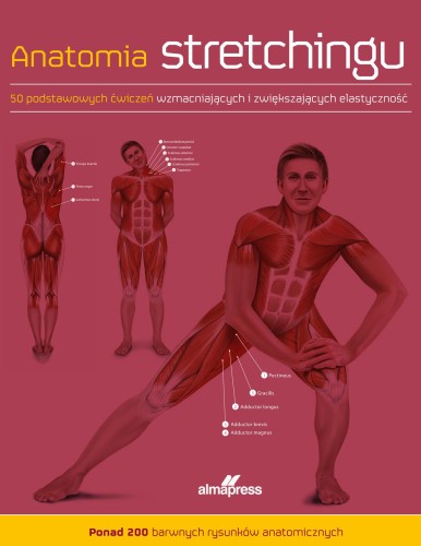 Anatomia stretchingu. 50 podstawowych ćwiczeń...