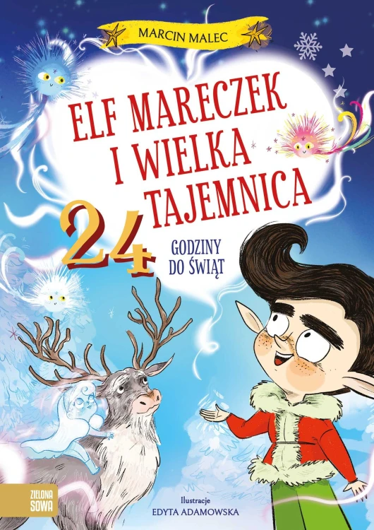 Elf Mareczek i wielka tajemnica. 24 godziny do...