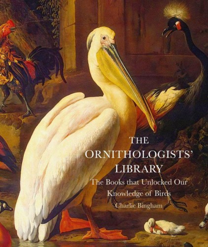 The Ornithologists' Library, Charlie Bingham